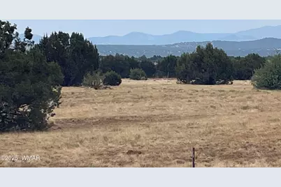 67 Hickory Lane, Concho, AZ 85924 - Photo 5