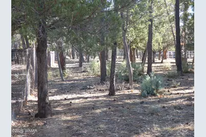 406 W Whispering Pines Lane, Pinetop, AZ 85935 - Photo 49
