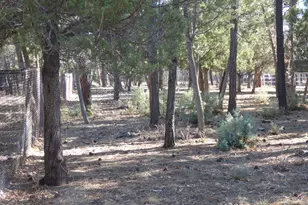 406 W Whispering Pines Ln, Pinetop, AZ 85935 - Photo 49