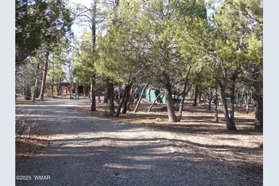 406 W Whispering Pines Lane, Pinetop, AZ 85935 - Photo 53
