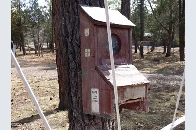 406 W Whispering Pines Lane, Pinetop, AZ 85935 - Photo 55