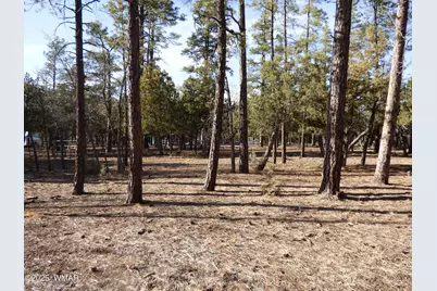 406 W Whispering Pines Lane, Pinetop, AZ 85935 - Photo 47
