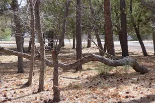 406 W Whispering Pines Ln, Pinetop, AZ 85935 - Photo 57