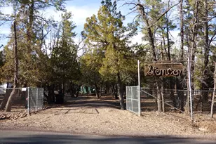 406 W Whispering Pines Ln, Pinetop, AZ 85935 - Photo 7