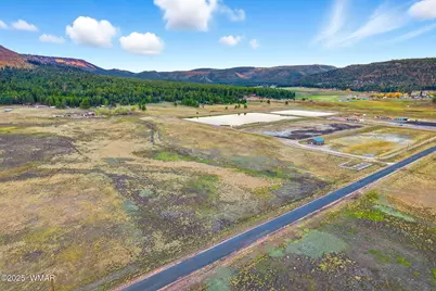 Tbd Alpine Unsubdivide, Alpine, AZ 85920 - Photo 5