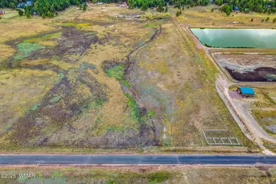 Tbd Alpine Unsubdivide, Alpine, AZ 85920 - Photo 11