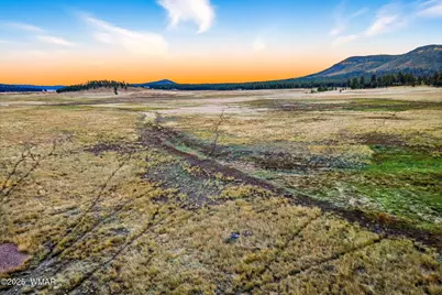Tbd Alpine Unsubdivide, Alpine, AZ 85920 - Photo 15