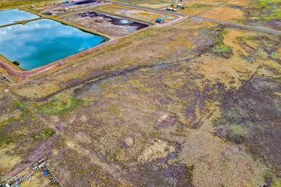 Tbd Alpine Unsubdivide, Alpine, AZ 85920 - Photo 13