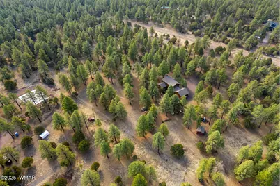 15 Co Rd 2019, Nutrioso, AZ 85932 - Photo 45