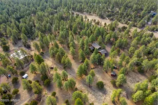 15 Co Rd 2019, Nutrioso, AZ 85932 - Photo 45