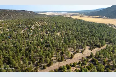 15 Co Rd 2019, Nutrioso, AZ 85932 - Photo 43
