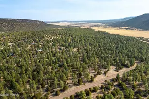 15 Co Rd 2019, Nutrioso, AZ 85932 - Photo 43