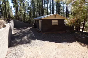 14 &amp 16 N Cr 2057, Alpine, AZ 85920 - Photo 7