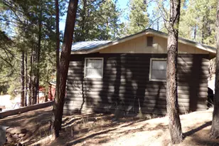 14 &amp 16 N Cr 2057, Alpine, AZ 85920 - Photo 33