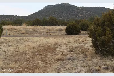 39 County Road 3034, Concho, AZ 85924 - Photo 9