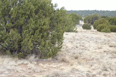 39 County Road 3034, Concho, AZ 85924 - Photo 11