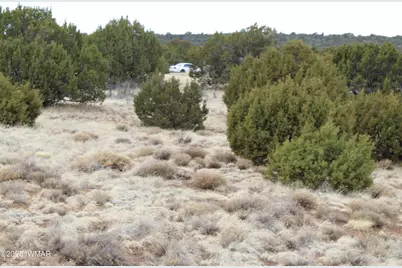 39 County Road 3034, Concho, AZ 85924 - Photo 5