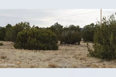 39 County Road 3034, Concho, AZ 85924 - Photo 7