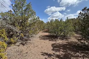 3187 Tbd, Vernon, AZ 85940 - Photo 1