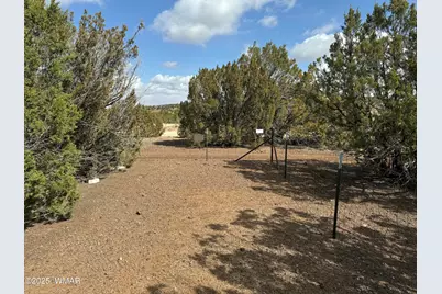3187 Tbd, Vernon, AZ 85940 - Photo 13