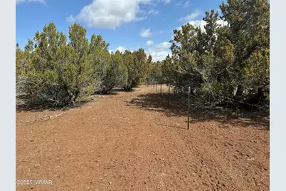 3187 Tbd, Vernon, AZ 85940 - Photo 5