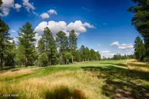 1640 S Spruce Ln, Show Low, AZ 85901 - Photo 27