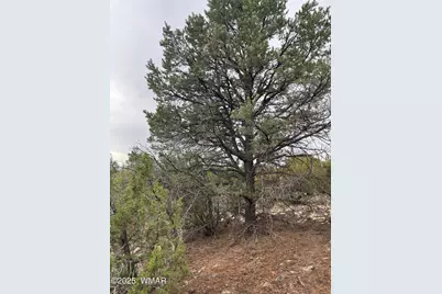 36 N 3321, Vernon, AZ 85940 - Photo 17