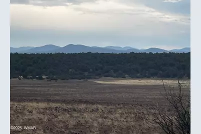 36 N 3321, Vernon, AZ 85940 - Photo 25