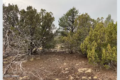 36 N 3321, Vernon, AZ 85940 - Photo 21