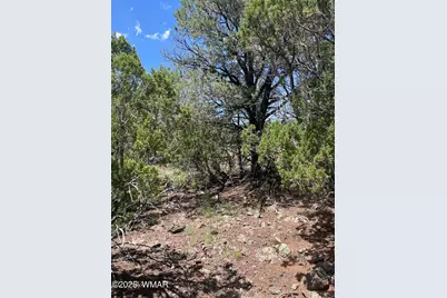 36 N 3321, Vernon, AZ 85940 - Photo 7