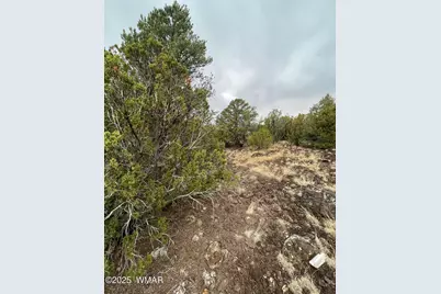 36 N 3321, Vernon, AZ 85940 - Photo 29