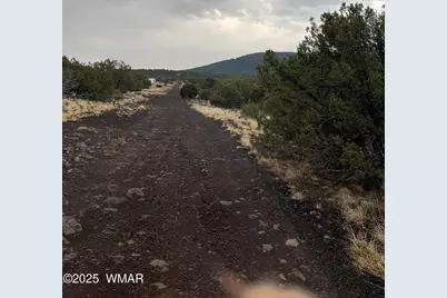 36 N 3321, Vernon, AZ 85940 - Photo 11