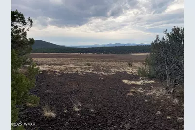 36 N 3321, Vernon, AZ 85940 - Photo 19