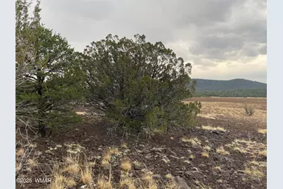 36 N 3321, Vernon, AZ 85940 - Photo 23