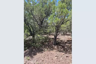 36 N 3321, Vernon, AZ 85940 - Photo 5