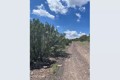 36 N 3321, Vernon, AZ 85940 - Photo 9