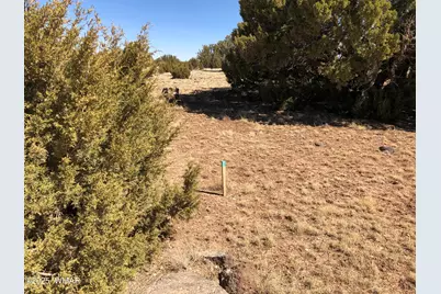 122 Spruce Street, Concho, AZ 85924 - Photo 3