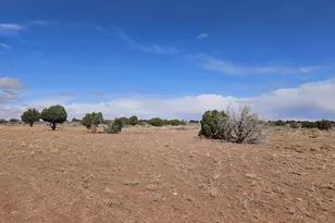 15 North 9079, Concho, AZ 85924 - Photo 17