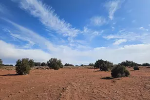 15 North 9079, Concho, AZ 85924 - Photo 15