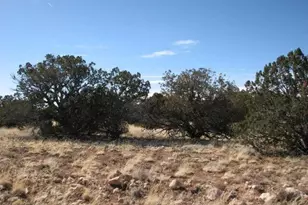 6251 Dry Pasture Run Lot 216, Heber, AZ 85928 - Photo 1