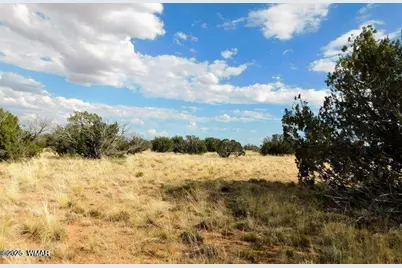 6251 Dry Pasture Run Lot 216, Heber, AZ 85928 - Photo 3