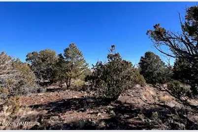 002P N8689, Concho, AZ 85924 - Photo 11