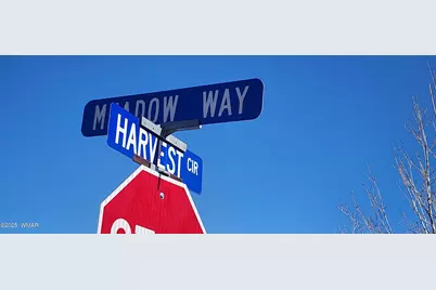 1251 Harvest Circle, Taylor, AZ 85939 - Photo 11