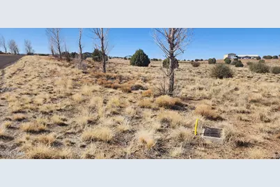 1251 Harvest Circle, Taylor, AZ 85939 - Photo 3