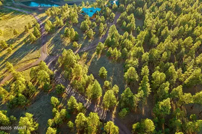 7 N County Road #1332 Street, Unit 46, Greer, AZ 85927 - Photo 15