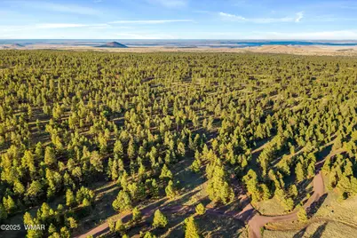 7 N County Road #1332 Street, Unit 46, Greer, AZ 85927 - Photo 7