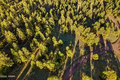 7 N County Road #1332 Street, Unit 46, Greer, AZ 85927 - Photo 9