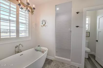 5325 Pinedale Wash Road, Pinedale, AZ 85934 - Photo 47