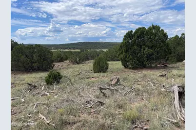 35 Burns Road, Concho, AZ 85924 - Photo 1