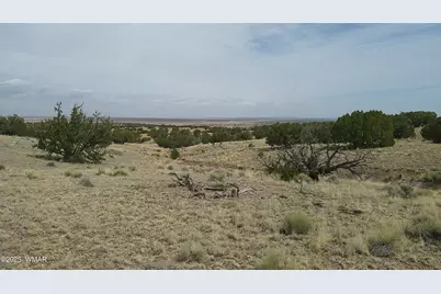 Tbd St. John's, Saint Johns, AZ 85936 - Photo 7